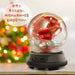 Forever in Bloom: Home Decor Valentine Rose Lamp Gift - LED Light String Perfection