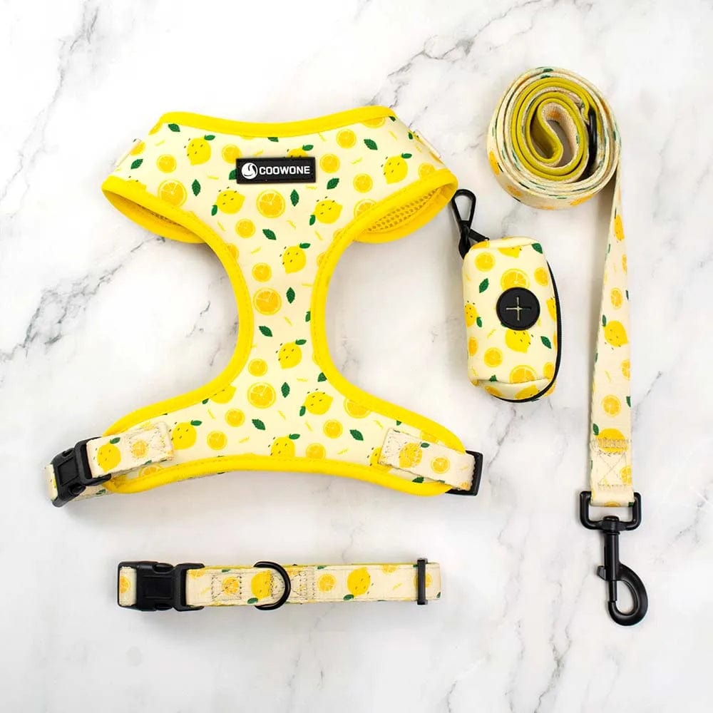 Neoprene Dog Harness with Matching Dog Collar Leash Bow Tie and Bandana Set