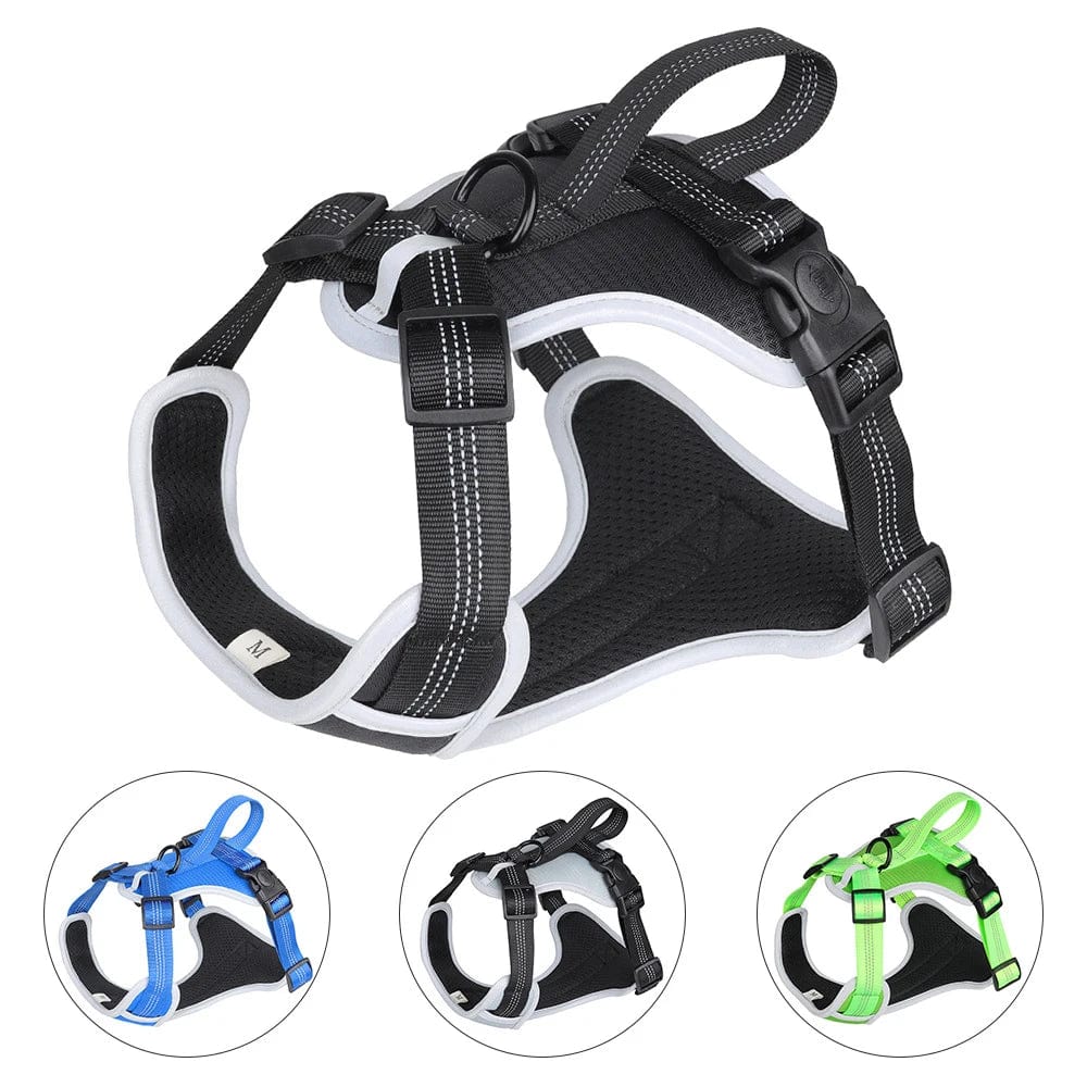 Confidence in Every Stride: Big Dog Safety with Our Oxford Cloth Chest Strap