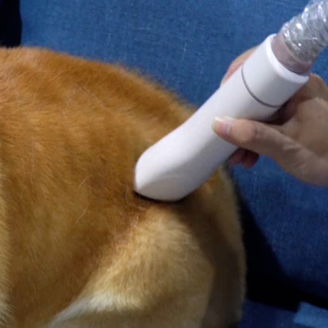 Effortless Pet Grooming at Your Fingertips: Wireless Vacuum Cleaner and Pet Hair Brush Combo