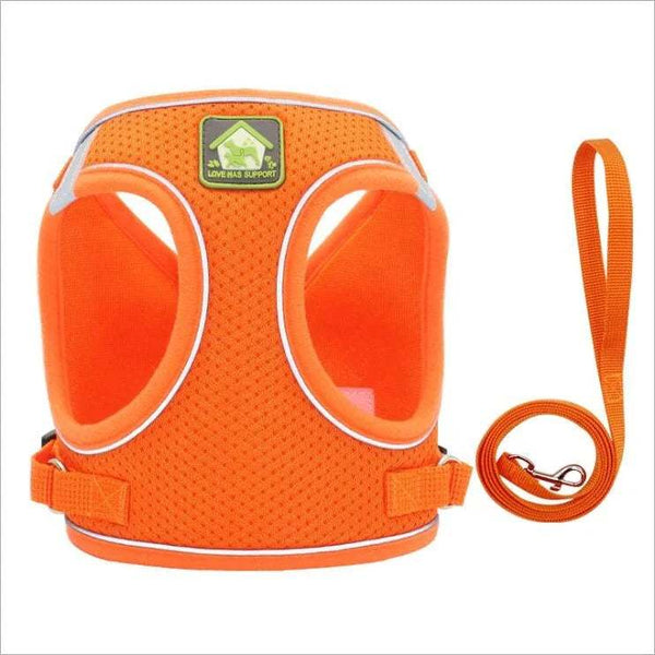 Stay Visible, Walk Safe: Reflective Breathable Dog Leash and Vest Harnesses