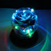 Forever in Bloom: Home Decor Valentine Rose Lamp Gift - LED Light String Perfection