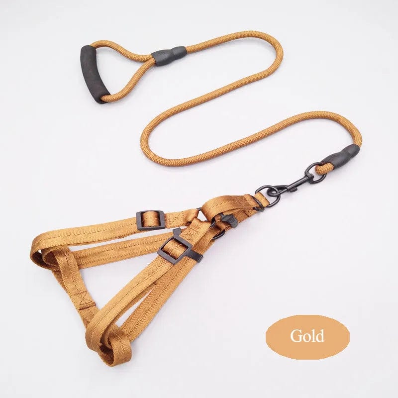 Tailored Trends: Adjustable Elegance in Our Designer Harness and Leash Set