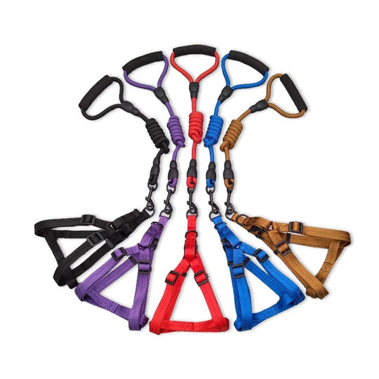 Tailored Trends: Adjustable Elegance in Our Designer Harness and Leash Set