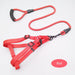 Tailored Trends: Adjustable Elegance in Our Designer Harness and Leash Set