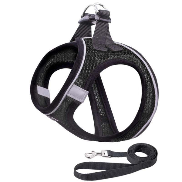 Optimal Control, Maximum Visibility: Easy Walk Pet Dog Harness Leash Set with Reflective Rope.