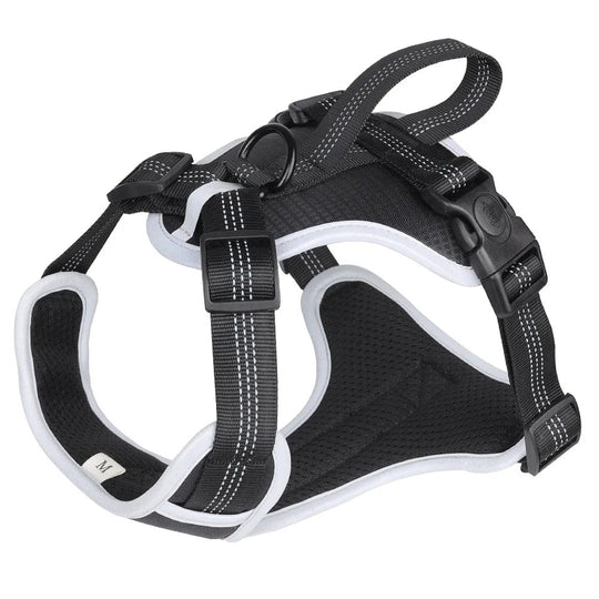 Confidence in Every Stride: Big Dog Safety with Our Oxford Cloth Chest Strap