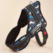 Fashion Meets Function: RIBBONS Adorned No Pull Dog Harness for Training Bliss