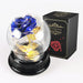 Forever in Bloom: Home Decor Valentine Rose Lamp Gift - LED Light String Perfection