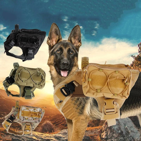 Manufacturer's 1000D Nylon Tactical Dog Harness for Large Pets