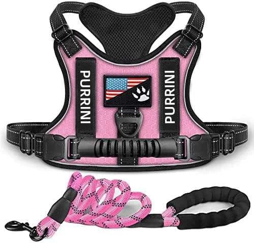 Unleashing Comfort with our Breathable Pet Collars and Harness Leash Set