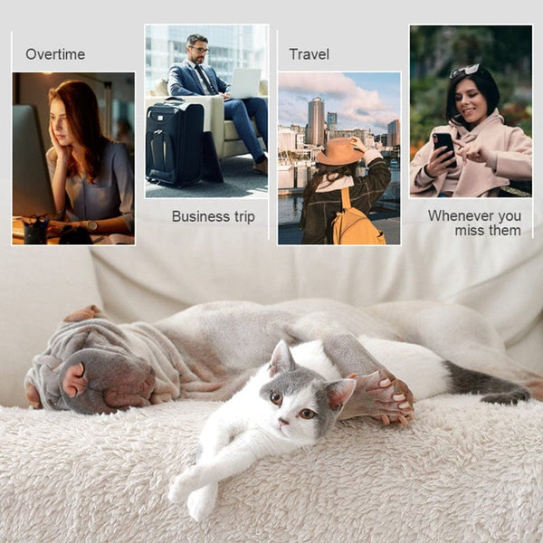 WiFi Pet Camera Stay Connected with Your Pets: and Smart Automatic Pet Feeder with Audio