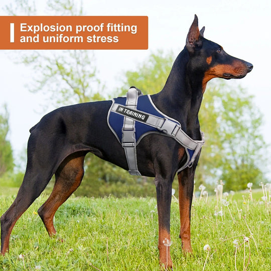 Outdoor Excellence: Pet Traction Rope and Vest Set - Nylon Dog Harness at Its Best