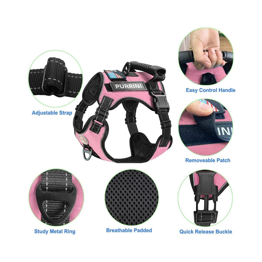 Unleashing Comfort with our Breathable Pet Collars and Harness Leash Set