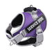 Outdoor Excellence: Pet Traction Rope and Vest Set - Nylon Dog Harness at Its Best