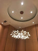 Modern Firefly LED Chandelier Light Led Ceiling Light Fixture Hanging Lamp for Dining Room