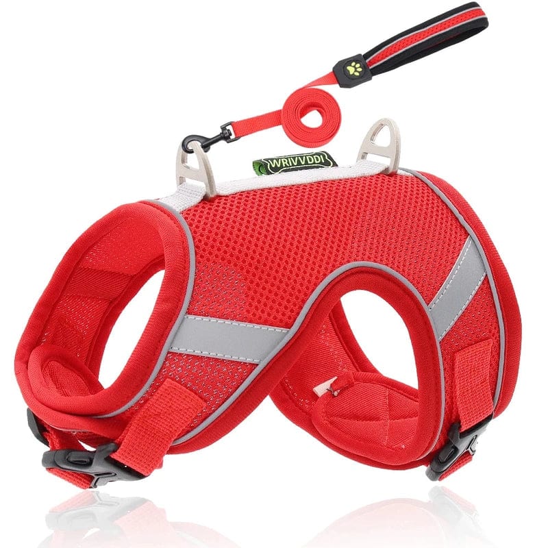 Discover the New Standard in Cat Harnesses for Escape-Proof Walks