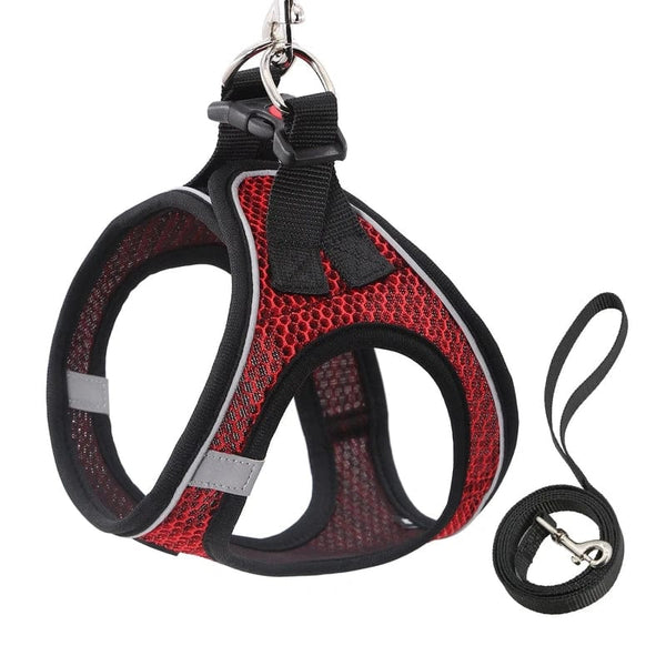 Optimal Control, Maximum Visibility: Easy Walk Pet Dog Harness Leash Set with Reflective Rope.